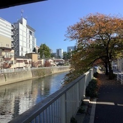 龍神様に会いに行きませんか？ - 横浜市