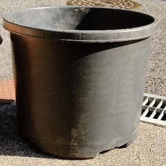 折衝中です　大きな植木鉢の画像