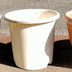 折衝中です　大きな植木鉢の画像