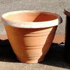 折衝中です　大きな植木鉢の画像