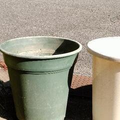 折衝中です　大きな植木鉢の画像