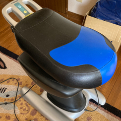 ロデオボーイⅡの画像