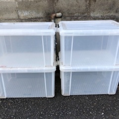 バックルコンテナボックス　4個セットの画像