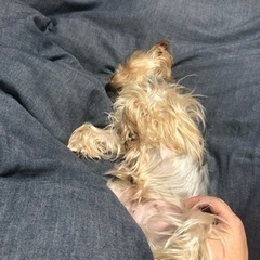 やる気ある人や今の現状を変えたい方などの画像