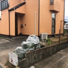 庭の雑草、庭木伐採、その他お任せください - 地元のお店
