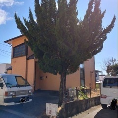 庭の雑草、庭木伐採、その他お任せください − 岡山県
