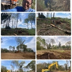 竹林伐採　山林伐採抜根　空き家樹木伐採致します/所沢市　狭山市飯...