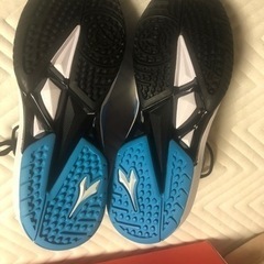 テニスシューズディアドラ27.5値下げの画像