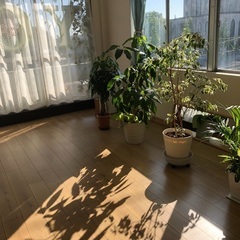 少人数制ヨガ教室の画像