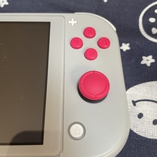 Switch  ライト  ポケモン ザシアン ザマゼンタ(グレー)