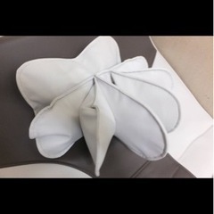 ゴロンネルプラスの画像