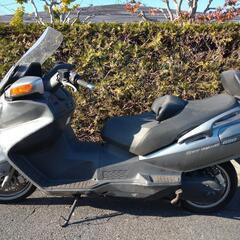 スズキ スカイウェブ 650の画像