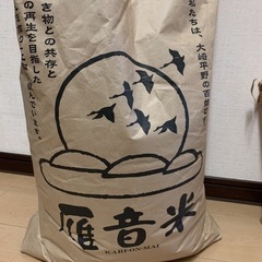 値下げしました❗️おまけ付き‼︎ 令和2年度　宮城県産　ひとめぼ...