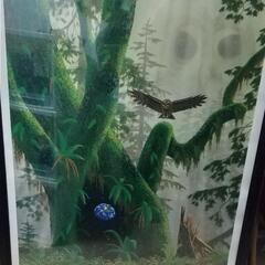 値下げ❗️ フクロウ 絵画の画像