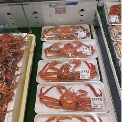 12/12(日)🦀日帰り山陰へ超美味しいカニ食べに行く方募集🚌