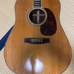 トップ単板Gilbert SK-50