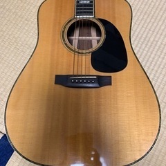 Mountain W-500Dトップスプルース単板バックハカラン...
