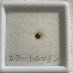 トルマリンルース