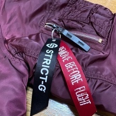 ALPHA×STRICT-G  N3B  シャアアズナブル　アルファ　ガンダムの画像