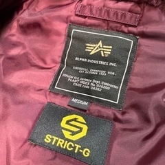 ALPHA×STRICT-G  N3B  シャアアズナブル　アルファ　ガンダムの画像