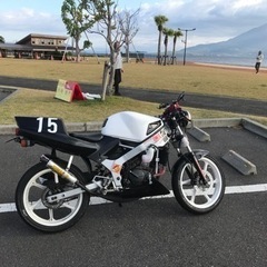 NS1 お譲り致します