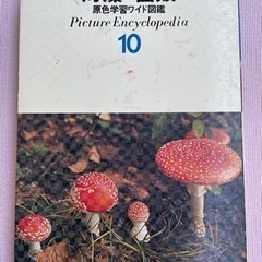 🐚海藻 • 菌類🍄　学習研究社