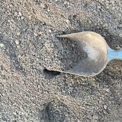 残土（庭土）土嚢を差し上げます。無料　取りに来られる方へ　立ち会い無し　園芸用にどうぞの画像