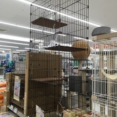 【決定しました】のら猫を捕獲して病院へ搬送し、不妊手術を受けさせ...