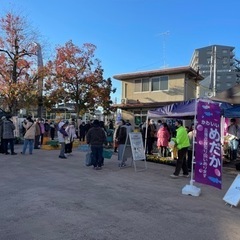 メダカすくいあり！11/20（土）鶴巻温泉駅前朝市開催！