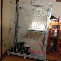 猫ちゃんのゲージの画像