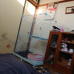 猫ちゃんのゲージの画像