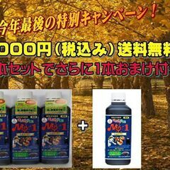 天然活性有機液肥まっぽし元気くんの新商品植物活性酵素MG1三本セ...