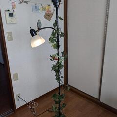 間接照明　（決まりました）