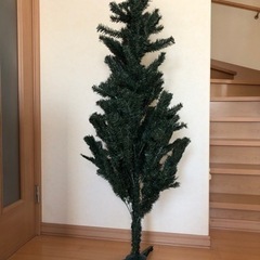 クリスマスツリー🎄の画像