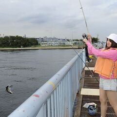㉗💛今は寂しかったり孤独だったりする人多いいですよね・・・でも独りじゃなければそれもなくなります✴ - 千代田区