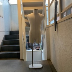 メンズトルソーの画像