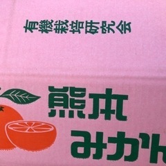 農家直送❗️みかん農家さんの訳あり玉東産早生みかん🍊お値下げ中にてキロ100円の画像