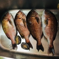 釣り堀サークルメンバー募集＊大阪☆和歌山☆兵庫
