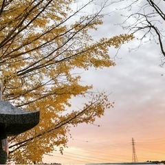 限定御朱印🍁頒布いたします！の画像