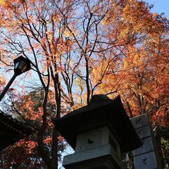 成田フォトサークル - 成田市