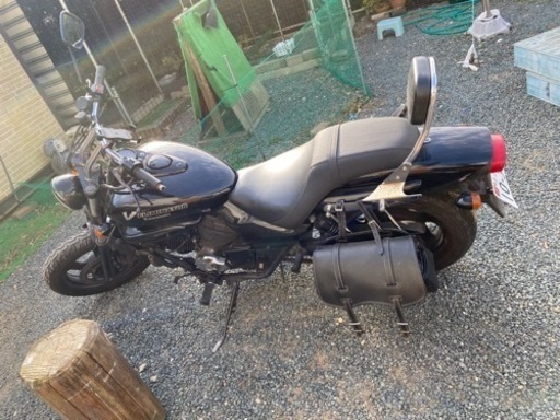 エレミネーター250v