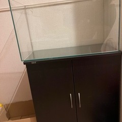 熱帯魚　アクアリウム　水槽　水槽台