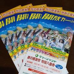 グリーンランド　入園券