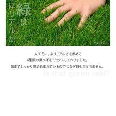 人工芝　ロールタイプ　1m×480cmの画像