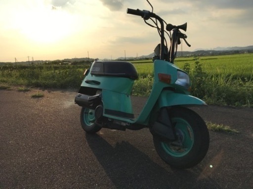 ホンダスカッシュ