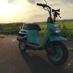 ホンダスカッシュ