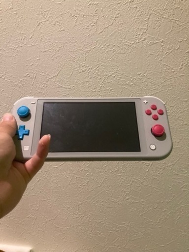 その他 Switch Lite