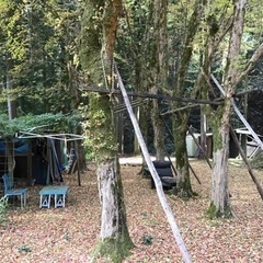 癒しの広場　聖の画像