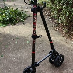 ハンドレールステッキ　の画像