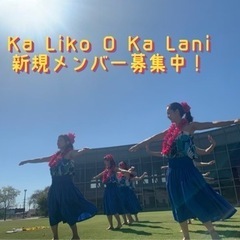 フラダンス新規メンバー募集‼︎
